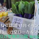 11月12日 TSUJIDO LOCAL MARKET@県立辻堂海浜公園 に出店します🚛💨