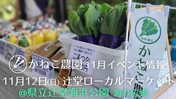 11月12日 TSUJIDO LOCAL MARKET@県立辻堂海浜公園 に出店します🚛💨